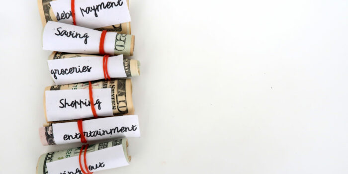 Fixed vs. variable expenses