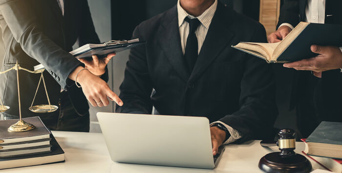 What is a professional limited liability company