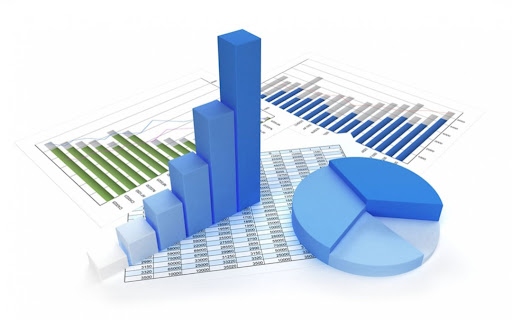 shareholders equity