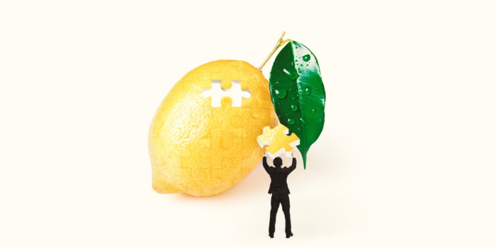 the lemon problem