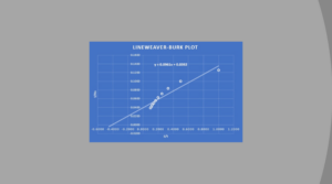 Create a Lineweaver-Burk Plot in Excel