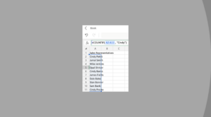 Excel Wildcard Characters