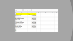 Formatting Phone Numbers in Excel