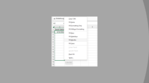 How To Autofill Dates in Excel (Autofill Months/Years)