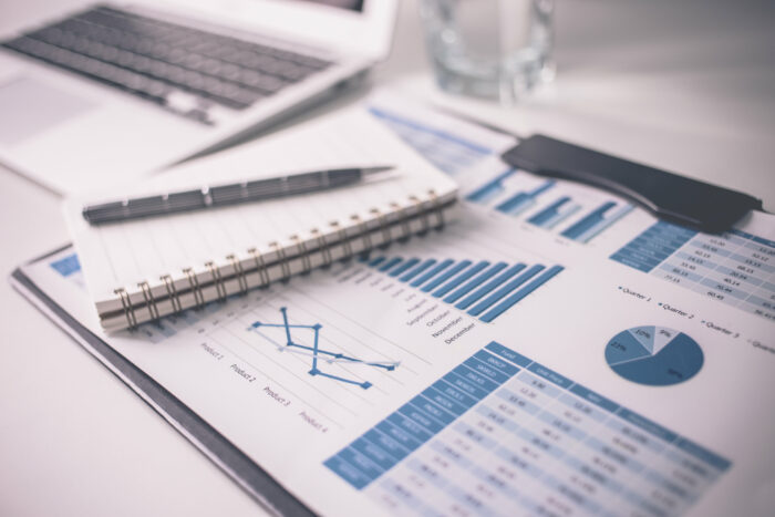Pro Forma Cash Flow Statement - FundsNet